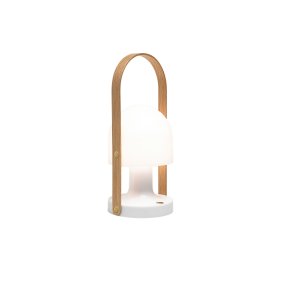 Genopladelige Lamper