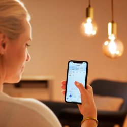 Wiz E27 LED Pre - 806lm - Filament Globe - Justerbar Hvid - Wiz