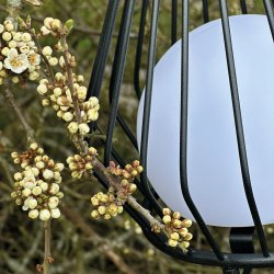 Evesham Lanterne - Lille - Genopladelig - Sort - Udendrs - Dyberg Larsen