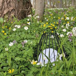 Evesham Lanterne - Lille - Genopladelig - Sort - Udendrs - Dyberg Larsen