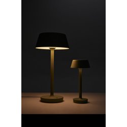 Companion T2 - Mat Gr - Antidark