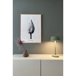 Companion T2 - Dusty Green - Antidark