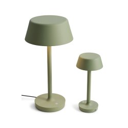 Companion T2 - Dusty Green - Antidark