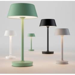 Companion T2 - Dusty Green - Antidark