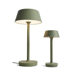 Companion T2 - Dusty Green - Antidark