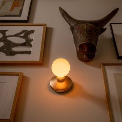 Bee - V�glampe - Gold Frosted - humble