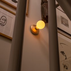 Bee - V�glampe - Gold Frosted - humble