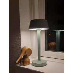 Companion T2 - Dusty Green - Antidark