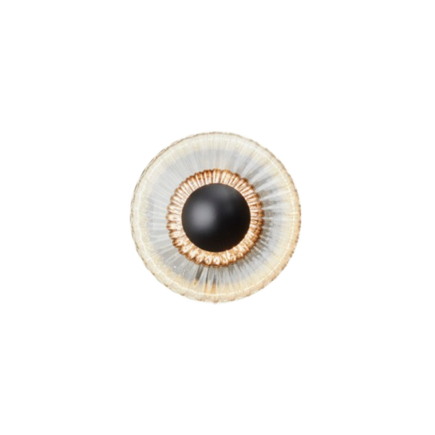New Wave Optic - Udendrs Vglampe - Clear - Design By Us