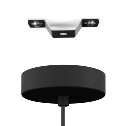 Casuarita - Pendel - Eglo