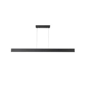 Flora P150 Pendel - Black Ash - Antidark