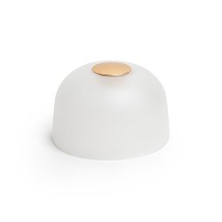 Two shade - gold - PC - frosted - humble