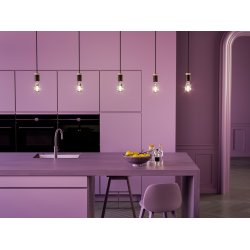 Holder Pendel - Mat Sort - Herstal