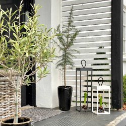 Lucerna 50 - Hvid - Genopladelig Lampe - Loom Design