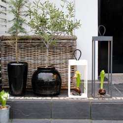 Lucerna 50 - Hvid - Genopladelig Lampe - Loom Design