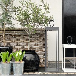 Lucerna 50 - Hvid - Genopladelig Lampe - Loom Design