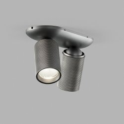 Raw - 2 - Titanium - Light-Point