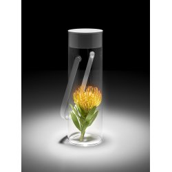 Chiardiluna Trdls lampe - Hvid/Grn - Rotaliana