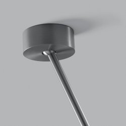 Tulip Pendel - Titanium - Light-Point