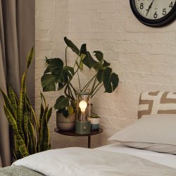 The Muse - Portable - Bordlampe - IP44 - Grn - Tala