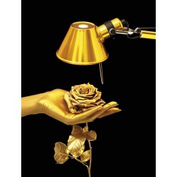 Tolomeo - Micro - Bordlampe - Guld - Artemide