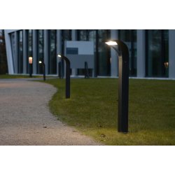 Anda Bedlampe - Mrkegr - Lutec