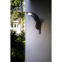 Anda Vglampe - Mrkegr - Lutec