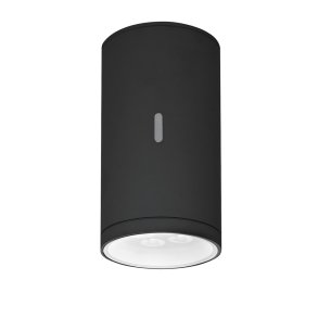 Calumet 13 -  Antracit gr - Udendrs - Loftslampe - LED - Artemide