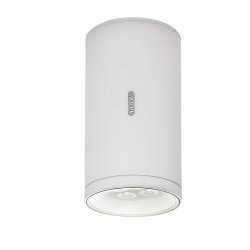 Calumet 13 -  Hvid/Gr - Udendrs - Loftslampe - LED - Artemide