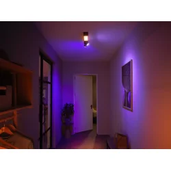Centris 2 - Loftslampe - Sort - Philips Hue