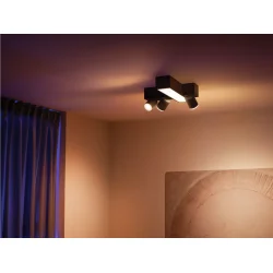 Centris 3 - Kryds - Loftslampe - Sort - Philips Hue