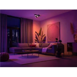 Centris 3 - Kryds - Loftslampe - Sort - Philips Hue