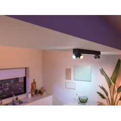 Centris 4 - Loftslampe - Sort - Philips Hue