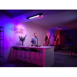 Centris 4 - Loftslampe - Sort - Philips Hue