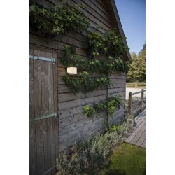 Doblo 21w V�glampe 4K - M�rkegr� - Lutec