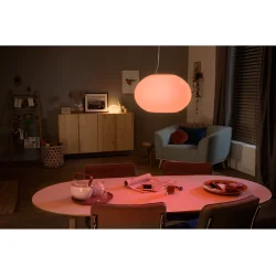 Flourish Pendel - Opal - Philips Hue