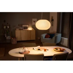 Flourish Pendel - Opal - Philips Hue