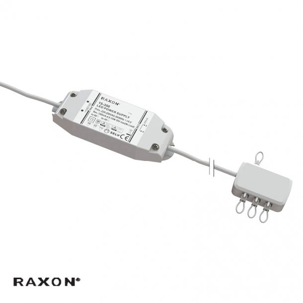 LD4500 driver NON-DIM 6P - Raxon
