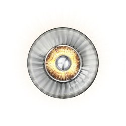 New Wave Optic - Vglampe - Smoke - Design By Us