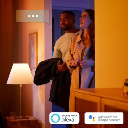 Philips Hue Being - Plafond - Dim Switch - Hvid