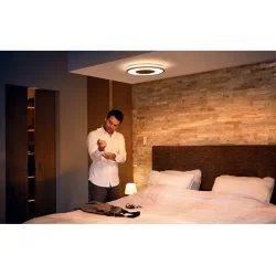 Being Plafond -White Ambience - Dim Switch - Sort -Philips Hue