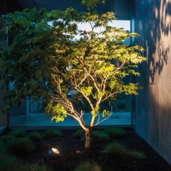 Shot - 15W - Udendrs - Sort - IP44.de