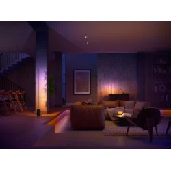 Signe - Bordlampe - Sort - Philips Hue