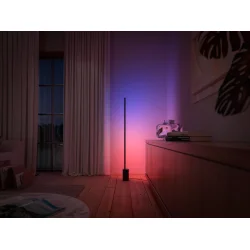 Signe - Gulvlampe - Sort - Philips Hue