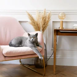 Knuckle Bordlampe + Voronoi I - Oak - Tala