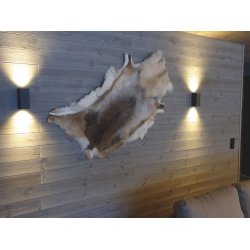 Ume 2 Vglampe - Mrkegr - Malmbergs